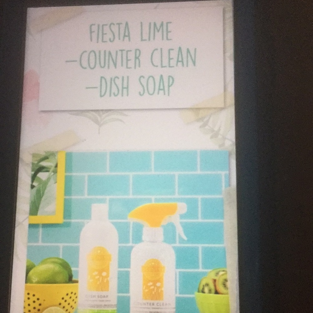 Fiesta lime  counter clean and dish soap for home